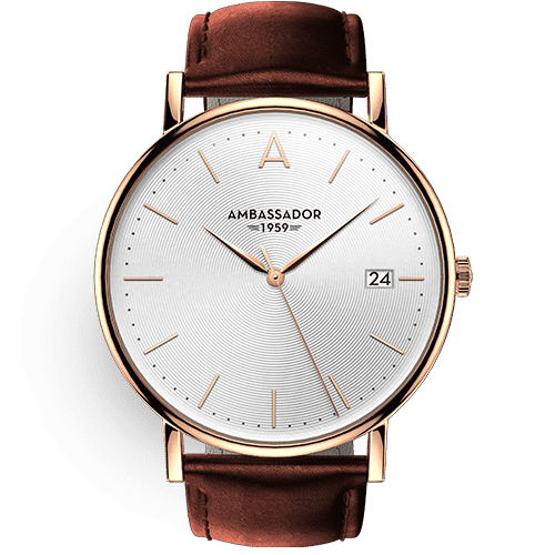 Daniel Steiger Ambassador Men's Watch - India | Ubuy